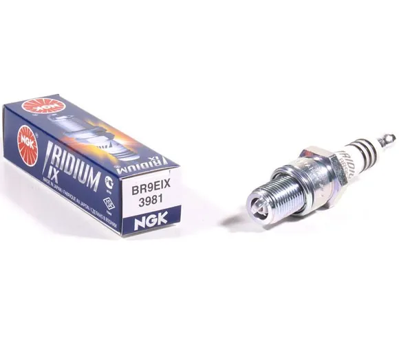 Spark Plug Iridium NGK BR9EIX
