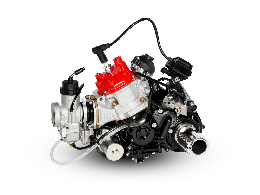 ROTAX 125 MAX DD2 ENGINE - EVO