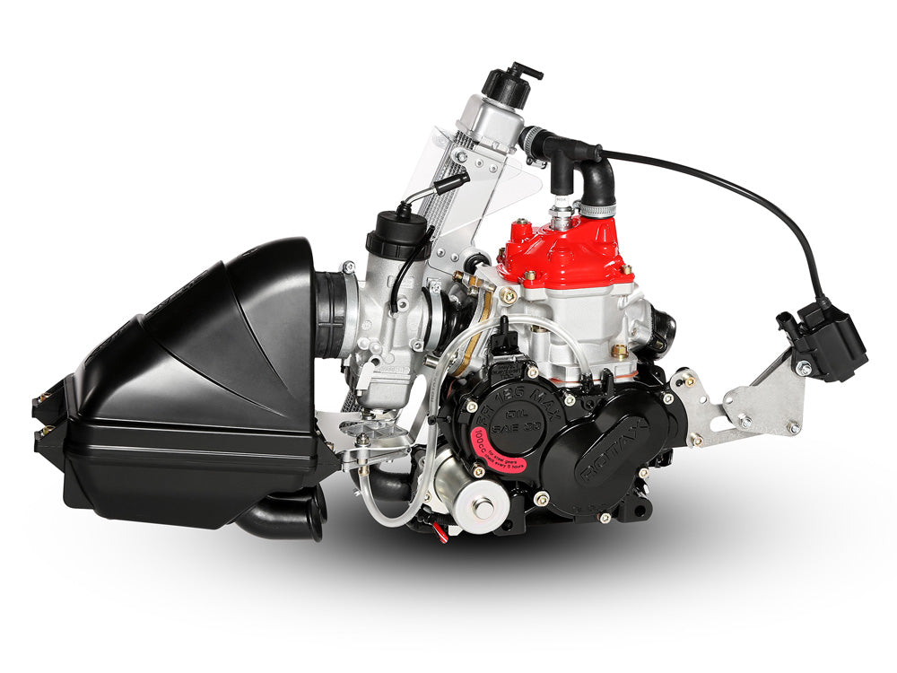 ROTAX 125 MICRO MAX EVO ENGINE