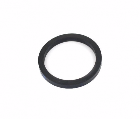 CRG Caliper Seal V06 and V10 Mini D24