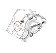 Rotax Balance/Starter Gear Needle Pin - DD2