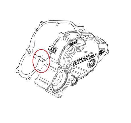 Rotax Balance/Starter Gear Needle Pin - DD2