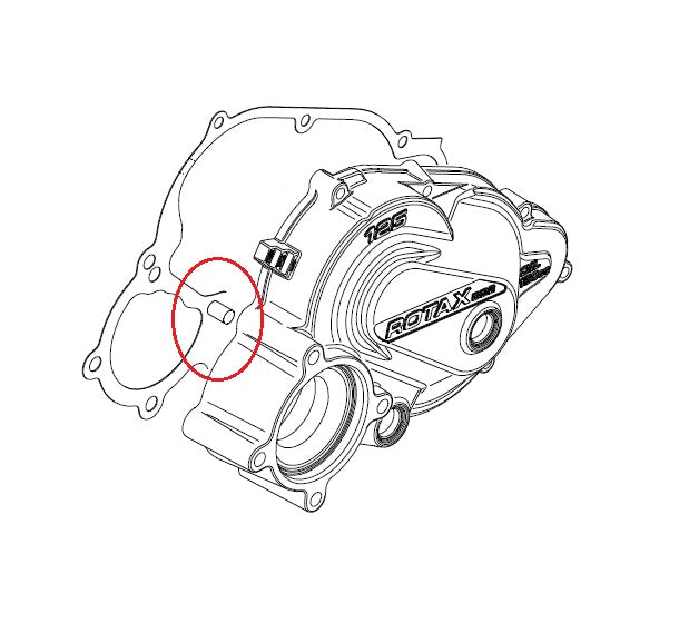 Rotax Balance/Starter Gear Needle Pin - DD2
