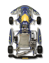 2025 LN Racing Kart Rookie EVM