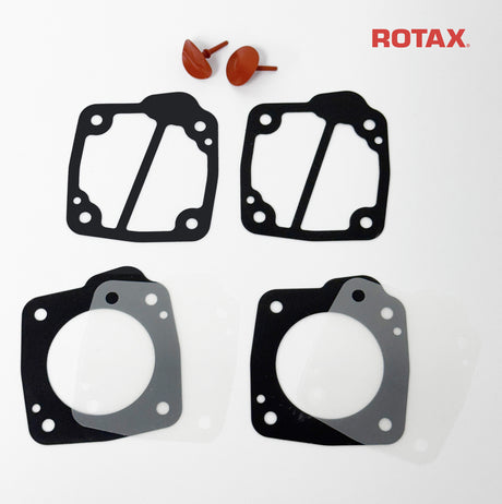Rotax Repair Kit for Dellorto Fuel Pump