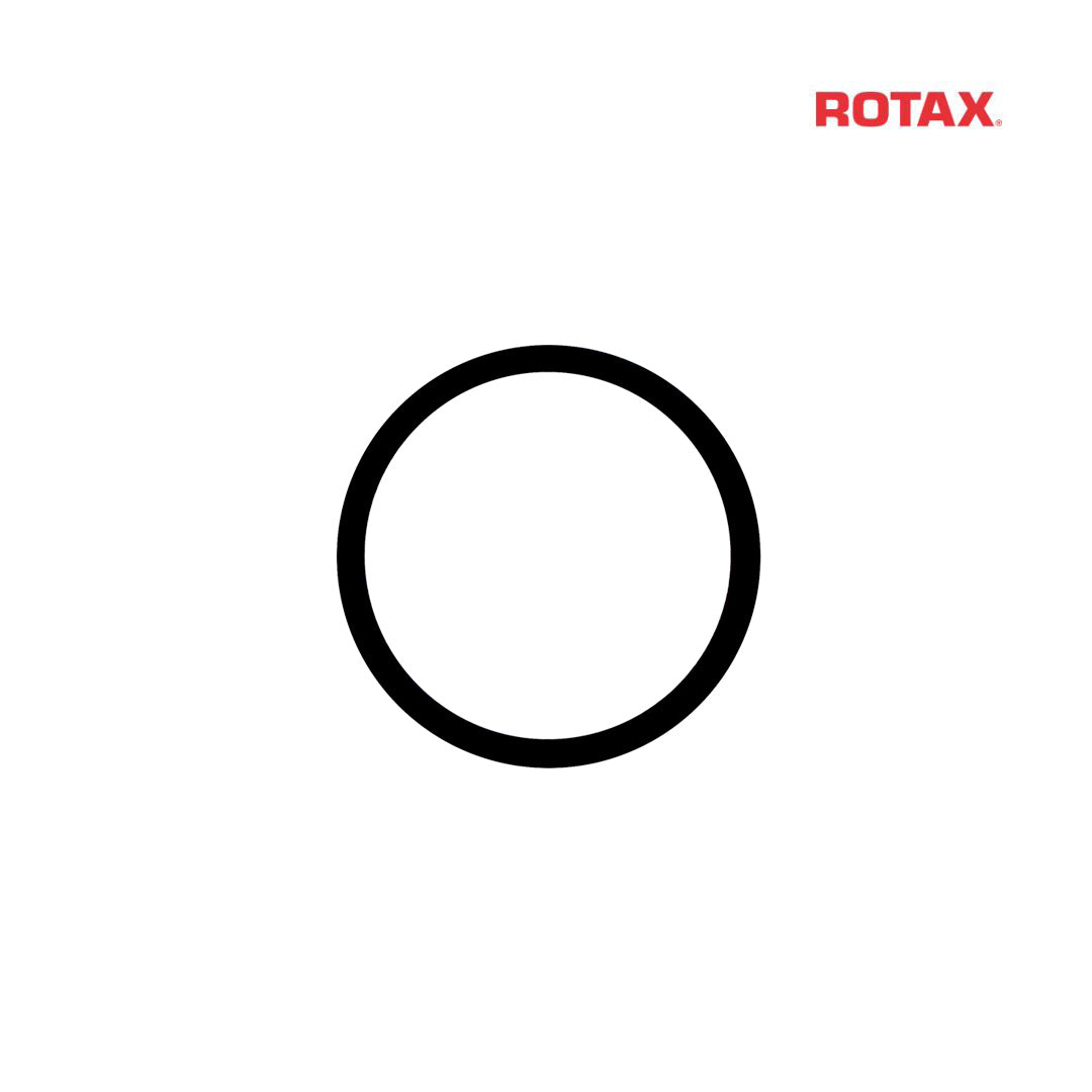 Rotax O-Ring for Float Bowl Nut