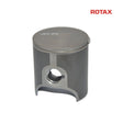 Rotax Piston and Ring - EVO - 53.97mm