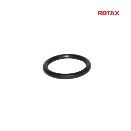 Rotax Power Valve O-Ring - EVO