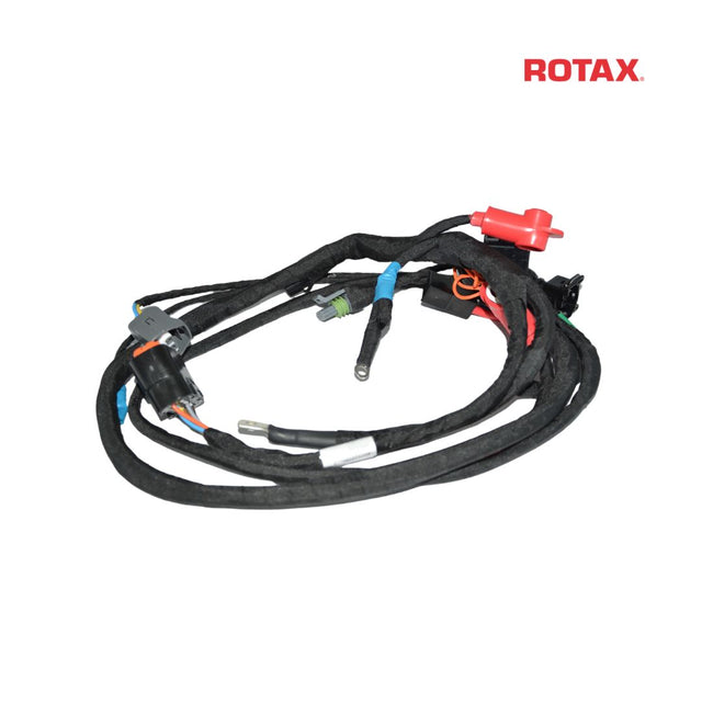 Rotax Wiring Harness - EVO