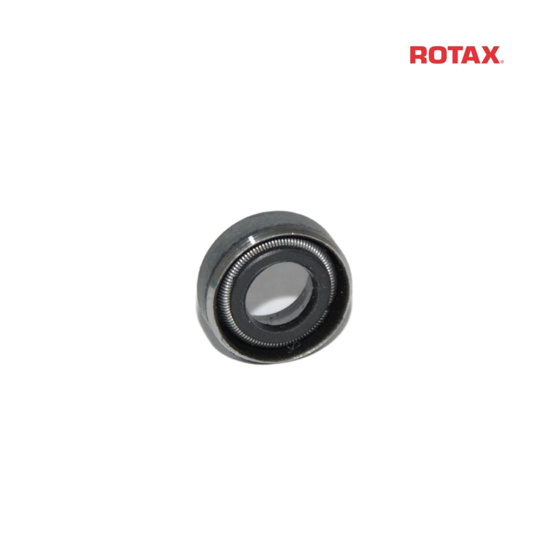 Rotax Power Valve Oil Seal - M6X11X3/4.5 - EVO
